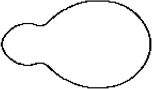 Figure 3. A cell partially in a pipette ().