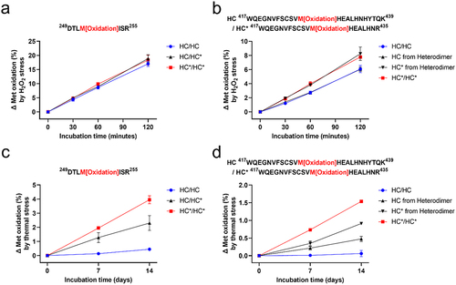 Figure 4. Quantification of (a) HC Met252/HC* Met252 and (b) HC Met428/HC* Met428 oxidation under H2O2 stress; (c) HC Met252/HC* Met252 and (d) HC Met428/HC* Met428 oxidation under thermal stress in bsAb-1 heterodimer and homodimers. The levels of Met oxidation generated in stressed samples at different time points were normalized by subtracting the initial Met oxidation level for the same Met residue in each sample prior to incubation. The means and error bars (standard deviations) are based on triplicated experiments.