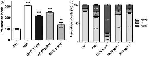 Figure 4. Proliferation (Ki-67) index (A) and cell cycle distribution (B) assessments for HK-2 cells treated for 48 h with test substances. Results are means ± SD of four independent experiments (**p < 0.01; ***p < 0.001 compared to the control group).