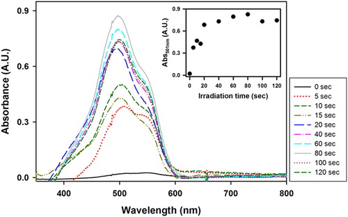 Figure 4. UV–Vis spectra of VBT:VBA4 copolymer (0.4% AIBN) irradiated films toned with FD&C after the washing process at various irradiation times. Inset: Evolution of the absorbance at 501 nm as function of irradiation time.