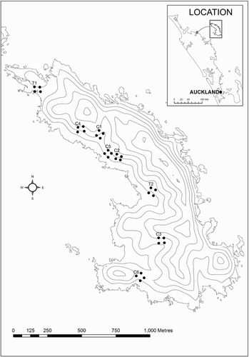 Figure 1 Map of Ririwha (Stephenson Island, Mahinepua), New Zealand, showing location of plots for monitoring grey-faced petrels (Pterodroma gouldi). Kiore (Rattus exulans) were controlled by kill-trapping in the 2010 petrel breeding season at plots T1 and T2 and monitored by index trapping at the same plots in 2011 and 2012. Inset shows the location of Ririwha relative to the northeastern coast of New Zealand.