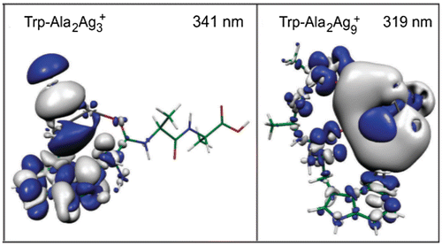 Figure 4. Electron density difference between the electronically excited state and ground state (left) for Trp-Ala2Ag3+ at 341 nm and (right) for Trp-Ala2Ag9+ at 319 nm corresponding to the transitions labelled by * in Figure 3. Source: Reproduced from Phys. Chem. Chem. Phys., 14 (2012) p.9282 with permission from the PCCP Owner Societies.