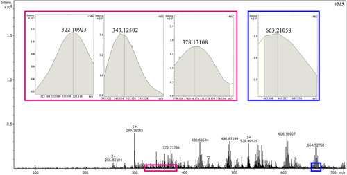 Figure 6 ESI(+)-FT-MS spectrum of the homogenate extract of the venous thrombus of the rats treated by 13-Cys-BBR gave 4 ion peaks, the homogenate of the venous thrombus was prepared and extracted by using the procedure of the literature.Citation26
