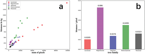 Figure 6. Biomass value and the number of pixels occupied in UAV images of 40 Lauraceae, Magnoliaceae, Oleaceae, Elaeocarpaceae, and Rosaceae trees (8 for each): (a) biomass and number of pixels of 40 trees; (b) biomass per pixel for 5 tree families.