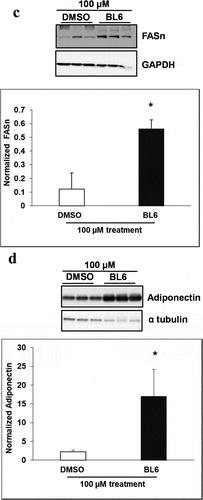 Figure 5. Continued