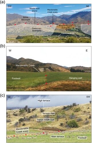 Figure 3. Field context of fault trenching site at Macdonalds Creek. A, Northwest-facing photograph looking from the Criffel Range across the Cardrona valley. We highlight here the contrast between the irregular terrain on schist basement that have been uplifted on the NW Cardrona Fault master strand’s hanging wall (background), and the more subdued landscape of the Cardrona valley floor that is developed on Cenozoic cover rock and Quaternary sediments (foreground). B, The Macdonalds Creek fault scarp across the main terrace. View to the north. C, Macdonalds Creek trench looking towards the southeast margin of the main terrace and the riser up to the high terrace with colluvial fans near the foot of the riser. View to the southeast.