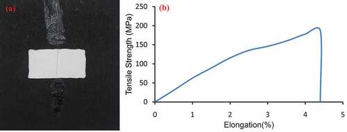 Figure 9. (a) BVFs mounted sample and (b) tensile strength elongation curve of BVFs.