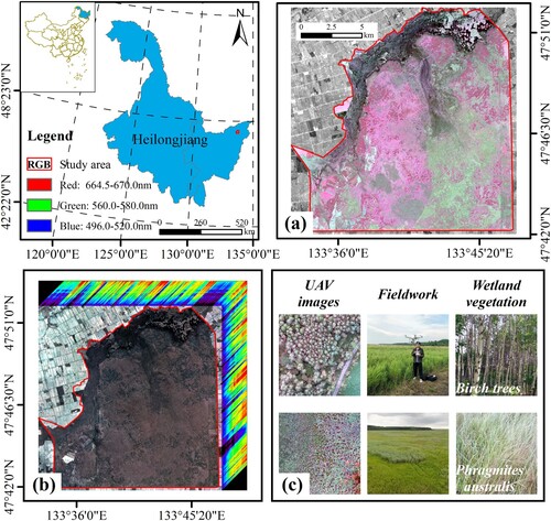 Figure 1. Geographical location of study area. (a) Sentinel-2A false-color composite images, (b) Zhuhai-1 hyperspectral false-color composite images, (c) The measured data of UAV and sample points.