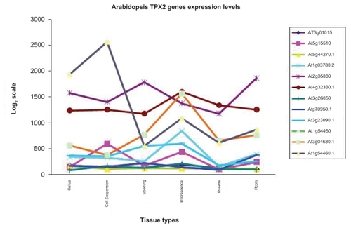 Figure 6 Relative expression levels of the TPX2 genes in different tissue types of Arabidopsis thaliana. Data from http://www.arabidopsis.org/. The expression patterns for WDL1 (At3g04630) and WVD2 (At1g3780) are roughly the same, with elevated levels in inflorescence tissue.