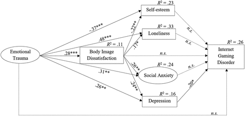 Figure 2. Final model of the significant path coefficients between variables.