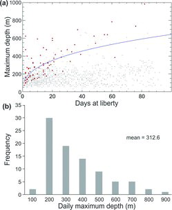 FIGURE 3. Maximum depth reached by Yellowfin Tuna during time at liberty: (a) deepest dives recorded during individual time bins (gray dots), first records of each fish at the observed depth (red dots), and exponential fit to the first occurrence data (blue line); and (b) frequency distribution of the deepest dives observed for each fish.