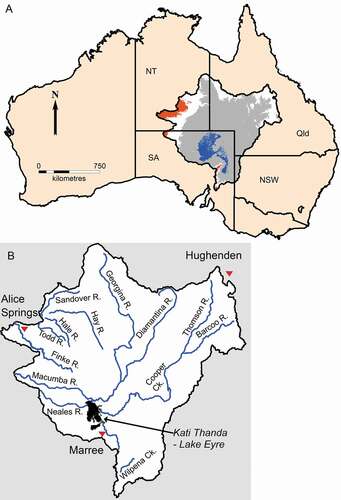 Figure 2. Regional context. (a) The Lake Eyre Basin (LEB) is located across four Australian states. Colours within the LEB outline indicate elevation ranges: blue, −15 to + 20 m AHD; grey, 20–250 m; white, 250–500 m; brown, 500–1354 m. (b) LEB major rivers (simplified), and three of the townships (red triangles). The Kati Thanda-Lake Eyre playa complex includes the basin depocentre near the southeast shores. 