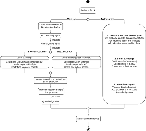 Figure 1. Schematic of MAM sample preparation using manual or automated methods. Within the manual method, denaturation, reduction, alkylation and proteolytic digestion are performed manually while the buffer exchange step could be carried out using either Bio-Spin 6 columns (20-minute process) or SizeX IMCStips on Hamilton STAR (8-minute process) to enable a direct comparison of the desalting performance. The automated method refers to a complete preparation, including denaturation, reduction, alkylation, buffer exchange and proteolytic digestion, performed hands-off on Hamilton STAR