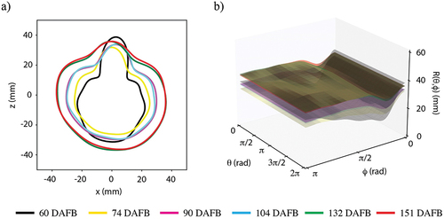 Figure 12. Averaged reference Fourier shapes for all monitored dates during fruit development, a) 1D Fourier shape in Cartesian coordinates, b) Interpolated 2D Fourier reference shape in spherical coordinates.