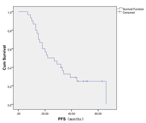 Figure 1 Kaplan–Meier curve showing the progression-free survival (PFS) in all 30 patients. Median PFS time was 24.5 months.