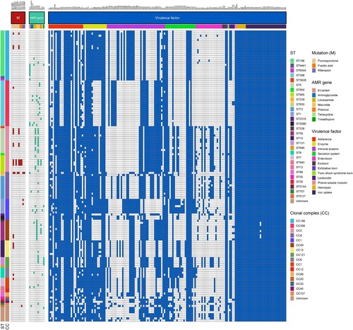 Figure 4. Heatmap of antibiotic resistance and virulence genes among the 140 MSSA-PENS isolates.