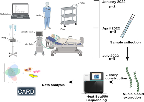 Figure 1 Surface samples were collected from eight designated areas within the ICU and Complete mNGS assay workflow.