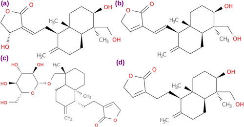 Figure 1. The chemical structure of studied phytochemicals (a) andrographolide, (b) 14-deoxy 11,12-didehydro andrographolide, (c) neoandrographolide and (d) 14-deoxy andrographolide from A. paniculata.