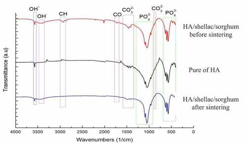 Figure 2. FTIR spectra of HA/shellac/sorghum