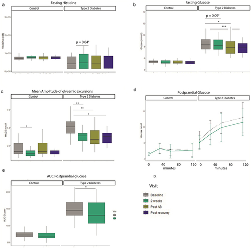 Figure 2. Histidine and clinical parameters. A. Fasting histidine increases after oral supplementation. B. Fasting glucose improves throughout the study in the type 2 diabetes group. C. Mean amplitude of glycemic excursion based on continuous glucose measurements improves in the type 2 diabetes group during the study. Results Mixed Meal test D. Glucose curve during 120 minutes mixed meal test. E. AUC glucose mixed meal test. Linear mixed models, #nominal p value, */**FDR corrected. Control n = 19, Type 2 diabetes n = 20. *p < 0.05, **p < 0.01, ***p < 0.001. T2D: n = 20. Control n = 19.