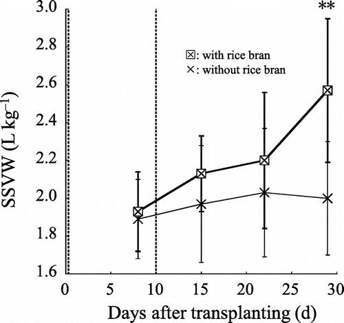 Figure 4. Effects of application of rice bran on changes in settled soil volume in water (SSVW) of the superficial layer (2014). Broken lines both at transplanting and on day 10 after transplanting indicate the application of rice bran. Each data point represents the mean of four plots: A(C), A(R), B(C), and B(R). The error bars indicate standard deviations. ** the SSVW with rice bran is significantly greater than that without rice bran at 1% level (Student’s t test).