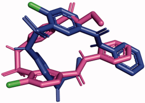 Figure 11. SABA1 in the presence of AMAPCP (blue) was overlayed onto SABA1 in the presence of ADP (magenta). Note the position of the chlorine atoms (green) is flipped. Generated with PyMOL.
