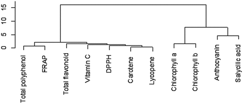 Figure 6. Hierarchical classification of phytonutrients in peels and seeds.Figura 6. Clasificación jerárquica de fitonutrientes encontrados en cáscaras y semillas.