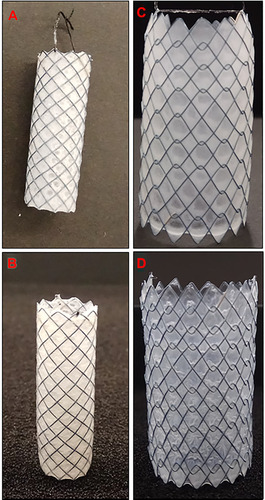 Figure 1 Fabricated 5FU-loaded gastrointestinal nitinol stents: (A) Si-PUFU stent (single-layer, base-coated only) and (B) Si-PUFU-PEVA stent (double-layer, both base- and top-coated); (C) Ba-PUFU stent (single-layer, base-coated only) and (D) Ba-PUFU-PEVA stent (double-layer, both base- and top-coated).