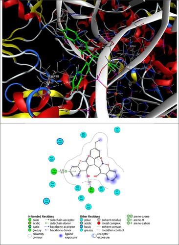 Figure 7. 3D best pose of 2a ligand in DNA gyrase (5BTC) target enzyme (top), along with 2D ligand–protein interactions (bottom).