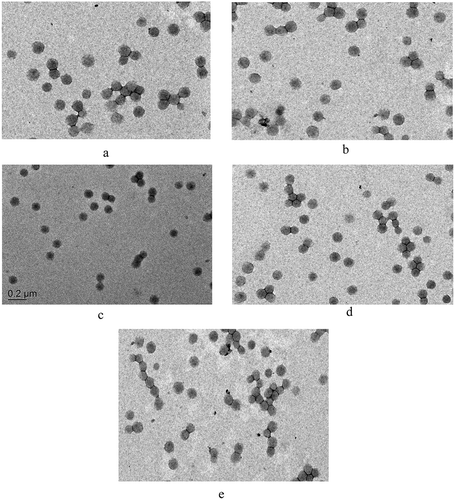 Figure 4. TEM images of emulsions with different P-monomer contents: (a) 0, (b) 10%, (c) 20%, (d) 30% and (e) 40%.