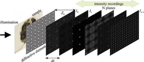 Figure 1 Measurement setup for phase retrieval with a binary diffractive micro lens array, inserted between the sample and the first plane of intensity recordings.