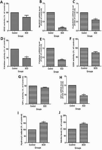 Figure 1. Comparison of oxidative stress markers in children suffering from sickle cell disease (SCD) and healthy individuals. (A) Spetrophotometer analysis of superoxide dismutase (SOD) in SCD subjects. The qRT-PCR analysis of (B) MnSOD and (C) CuZnSOD gene expression in SCD subjects. (D) Spectrophotometer and (E) qRT-PCR analysis of CAT activity in SCD subjects. (F). Spetrophotometer analysis of GSH in SCD subjects. (G) Spetrophotometer and (H) qRT-PCR analysis of GPx activity in SCD subjects. Spetrophotometer analysis of (I) HO• and (J) NO in SCD subjects.