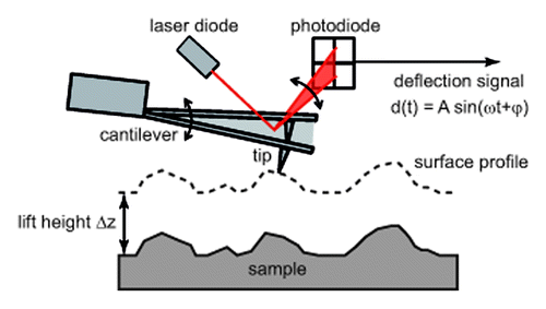 Figure 1. Schematic representation of the experimental setup and working principle of MFM.