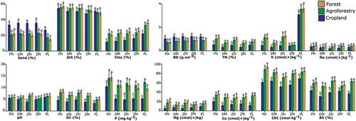 Figure 4. Soil physico-chemical characteristics of the top soil (0 – 20 cm) under cropland, agroforestry and forest. Mean values with different letters at the same site are significantly different from each other (p < 0.05). Sites: FH = Faketen high; DM = Dakin middle; ZH = Zemika high; ZM = Zemika middle; FL = Fanika low.