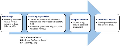 Figure 2. Flowchart for the experimental procedure.