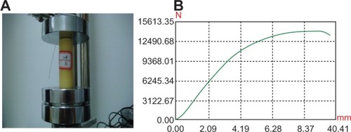 Figure 2 (A) Axial compression test of the straight tube; (B) stress–strain curve.