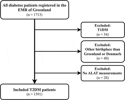 Figure 1. Flowchart of in- and exclusion. T1DM: type 1 diabetes mellitus; T2DM: type 2 diabetes mellitus; EMR: electronic medical record; ALAT:alanine aminotransferase.