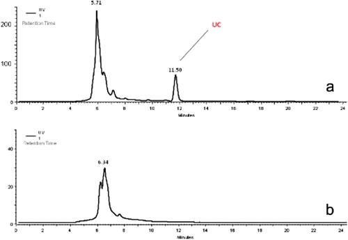 Figure 3. HPLC–UV chromatograms of the liquid medium sample collected from the co-culture of P. pinea plantlet inoculated with P. arhizus on day 2 (a) and liquid medium sample collected from P. pinea microshoots without fungal inoculation on day 2 (b). Peak at Rt 11.50 min corresponds to the unknown compound (UC).