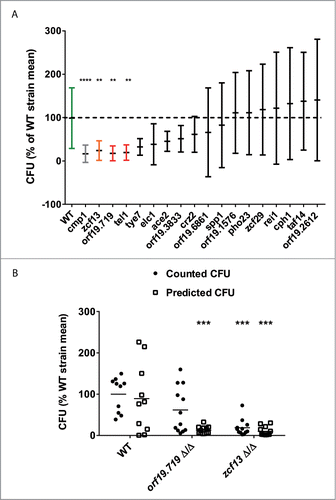 Figure 4. Virulence assay using luminescent C. albicans mutant strains in the G. mellonella infection model. G. mellonella were infected with 3 × 105 C. albicans cells. Results are expressed as percentage of the mean CFU of the wild-type in the same experiment to be able to merge duplicate experiments. (A) Fungal burden assay using 16 C. albicans TF mutants. These data correspond to the merging of 2 independent experiments. Each group of each experiment contained 6 larvae. Central horizontal lines correspond to the mean of the group. Error bars correspond to Standard Deviation (SD). Larvae fungal burden were evaluated at 24h post-infection and expressed for each larva as a percent of the fungal burden mean of larvae infected with the wild-type strain. Calculation was made for each experiment independently. (B) Each point corresponds to a single larva at 24h post-infection. Each group of each experiment contained 6 larvae. Fungal burden prediction using BLI reporter system. CFU prediction was performed using standard curves (see File S2). The two TF mutants were selected previously as displaying larvae low fungal burden as compared to the wild-type strain. These data correspond to 2 independent experiments. The horizontal line corresponds to the mean of the group. In both A and B panels, each larvae fungal burden was expressed as a percent of the fungal burden mean of larvae infected with the wild-type strain. Calculation was made for each experiment independently. Statistical analyses were performed on processed data to remove outliers using the ROUT (Q = 1%) method. Then a non-parametric ANOVA analysis was performed with a Dunn post-test comparing each mutant-infected group with the group infected by the wild type, using Graph Pad Prism 6. **p < 0.01, ***p < 0.001, ****p < 0.0001. RLU (−): arbitrary units of luminescent signal.