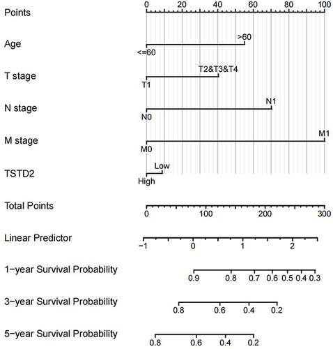 Figure 9 Nomogram for predicting the probability of 1-, 3-, 5-year OS for KIRC.