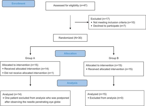 Figure 1 Patient flowchart.