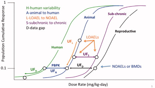 Figure 3. Typical uncertainty factors used in safe dose assessment. This figure distinguishes among the uncertainty factors that extrapolate between (hypothetical) dose-response curves (i.e. UFA, UFS, and UFD), and those that move down the same dose-response curve (UFH and UFL).