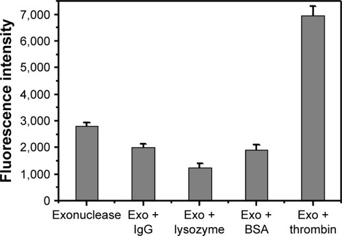 Figure 4 The fluorescence intensity of FAM-modified aptamer (10 nM)-MoS2 (40 μg/mL) in the presence of other proteins (BSA, IgG, and lysozyme) at the concentration of 0.001 nM.Abbreviations: BSA, bovine serum albumin; Exo, exonuclease; FAM, carboxyfluorescein; IgG, immunoglobulin G; MoS2, molybdenum disulfide.