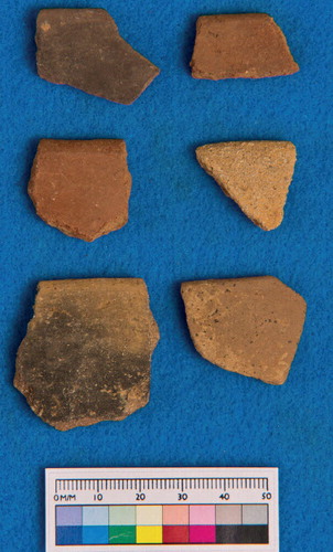 Fig. 4. Dark Faced Burnished Ware.