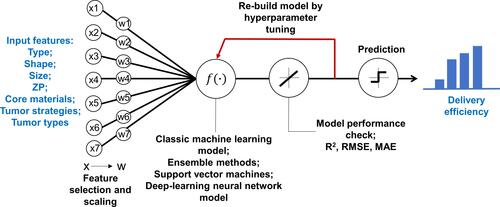 Figure 1 Overview of the study framework to develop machine learning and deep learning models to predict delivery efficiency of nanoparticles to the tumor site in tumor-bearing mice. X represents the initial input variables and W represents the variables after feature selections.