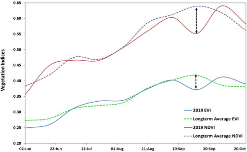 Figure 7. Graphical plot of NDVI and EVI vegetation indices values for 2019 during flood season compared with the long run (2000-18) average for same time frame. Source: Author.