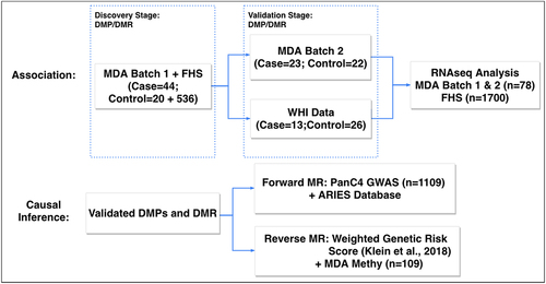 Figure 1. The overall framework of the two-phase EWAS study.