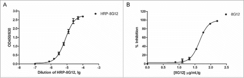 Figure 1. Establishment of a competitive ELISA assay for 8G12-like antibody detection. A) Dose dependent binding of horseradish peroxidase labeled 8G12 (HRP-8G12) to immobilized ORF2 truncation protein (394–606aa, genotype I). The optimal concentration of HRP-8G12 used in competitive ELISA assay was empirically determined. B) Dose dependent competition of unlabeled 8G12 with the binding of HRP-8G12 to immobilized ORF2 truncation protein (394–606aa, genotype I). Data was analyzed with Graphpad Prism. All samples were at least measured for 3 times and representative data from one experiment was shown.