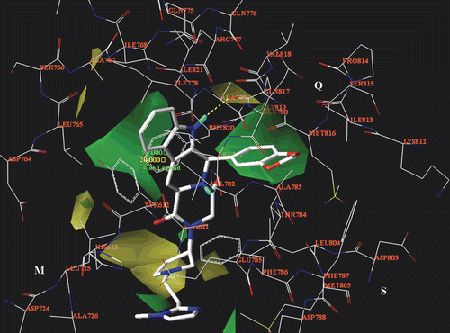 Figure 12.  The CoMFA steric map (green, favoured; yellow, disfavoured) is displayed around the compound 62 selected docking pose (in stick), located into the PDE5 catalytic site. The most important residues are labelled.
