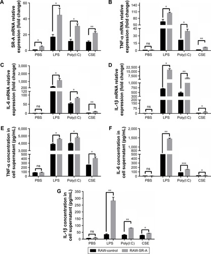 Figure 7 RT-qPCR and ELISA results of RAW-SR-A and RAW-control cells stimulated by LPS, poly(I:C), and CSE.